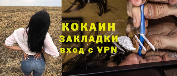 PSILOCYBIN Михайловск