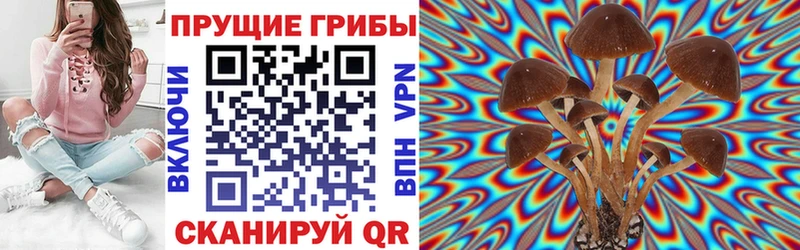 Псилоцибиновые грибы Magic Shrooms  Заринск 