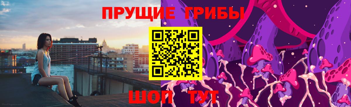 Псилоцибиновые грибы прущие грибы  Вход с VPN  сколько стоит  Заринск 